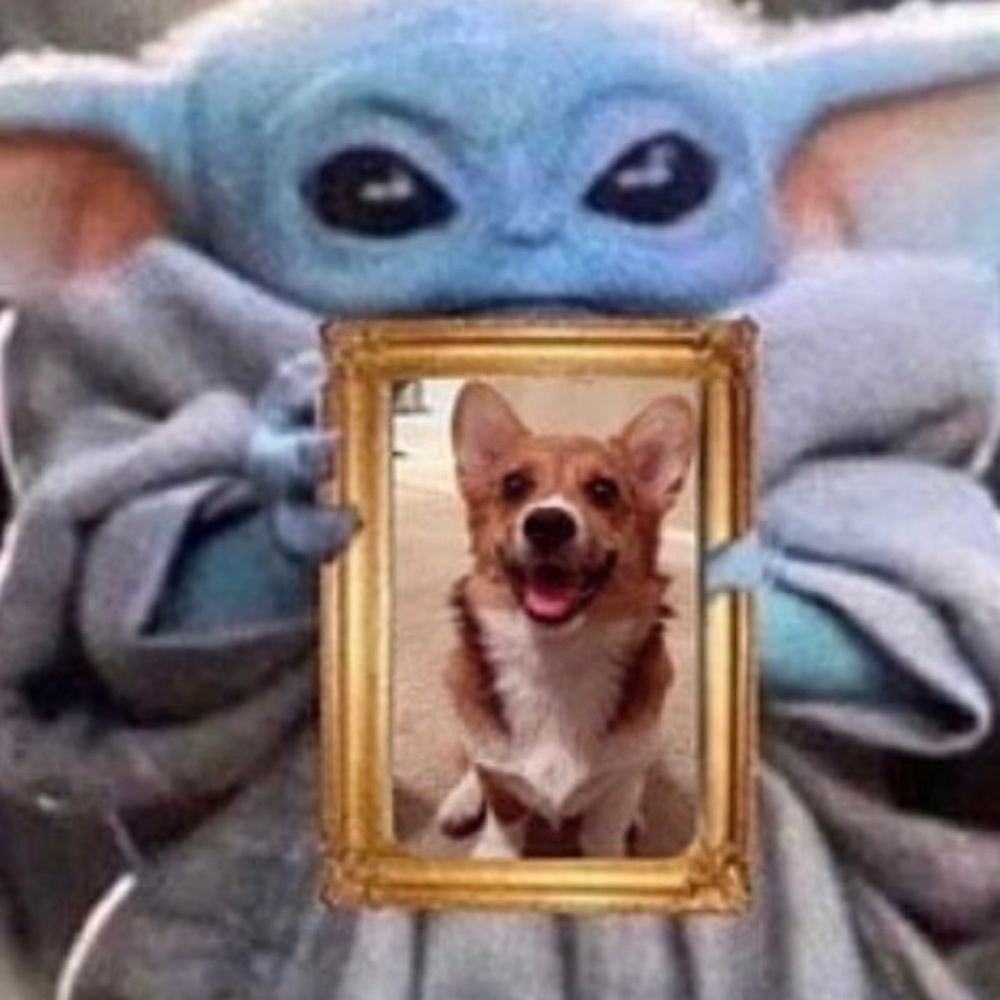 Meet your Posher, Kaitlyn